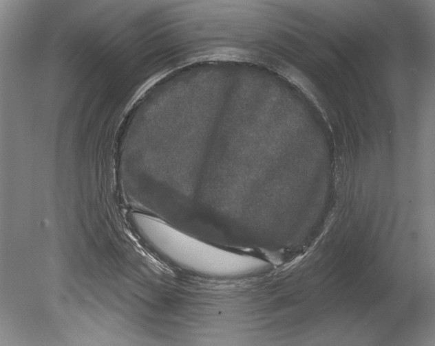 X0000080740829200701051142