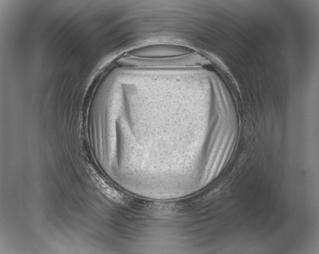 X0000080740831200701051142