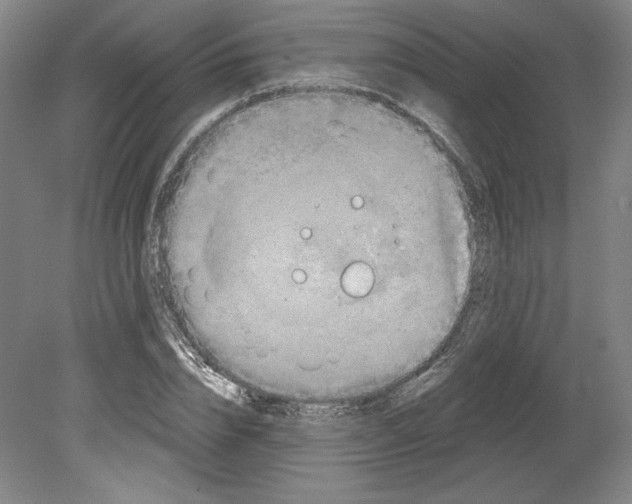 X0000080740832200701051142