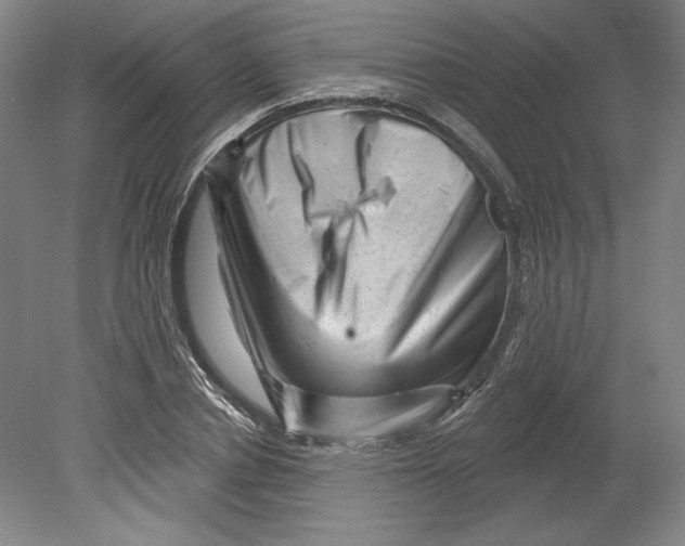 X0000080740834200701051142