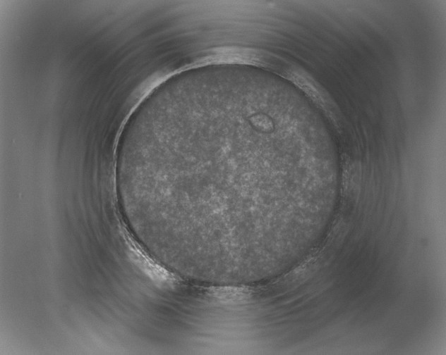 X0000080740836200701051142