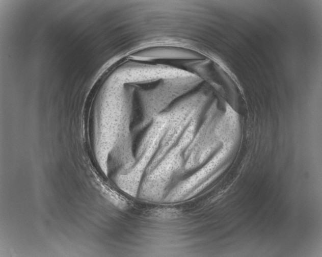 X0000080740837200701051142