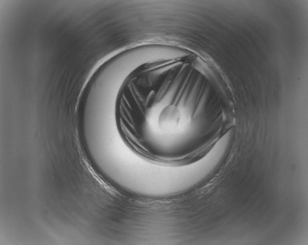 X0000080740838200701051142