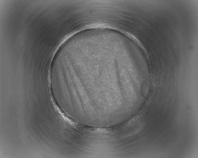 X0000080740839200701051142