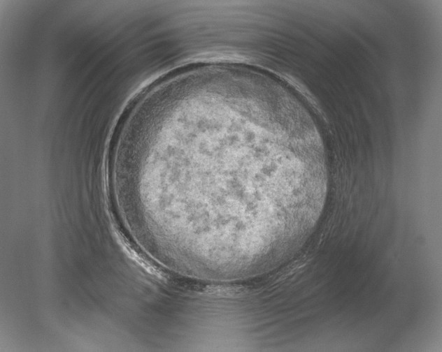 X0000080740840200701051142