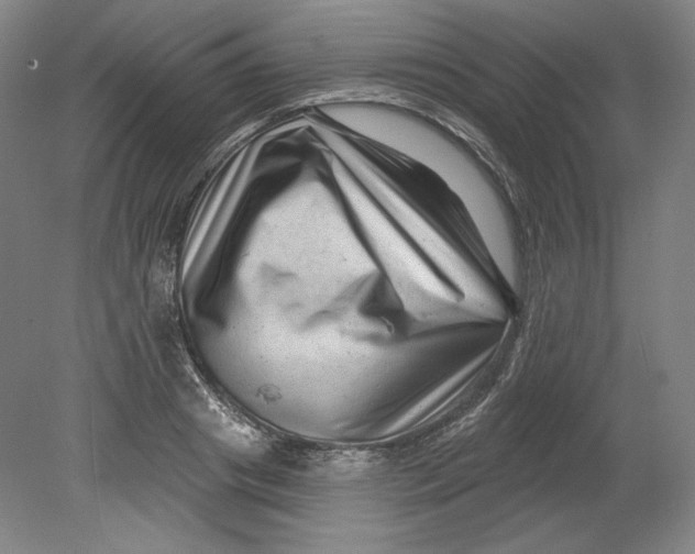 X0000080740841200701051142