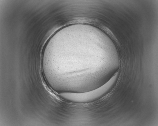 X0000080740844200701051142