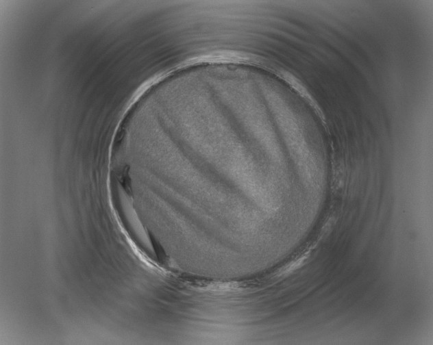 X0000080740845200701051142