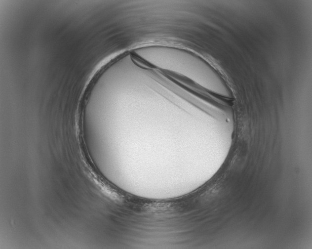 X0000080740846200701051142