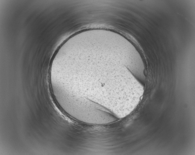 X0000080740847200701051142