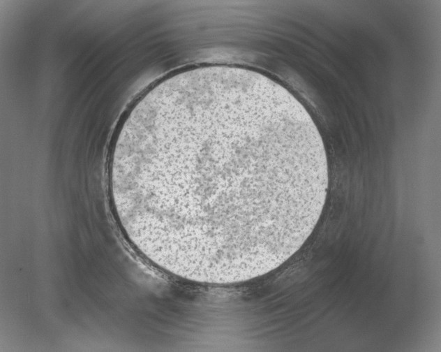 X0000080740848200701051142