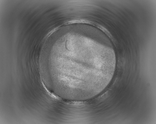 X0000080740849200701051142