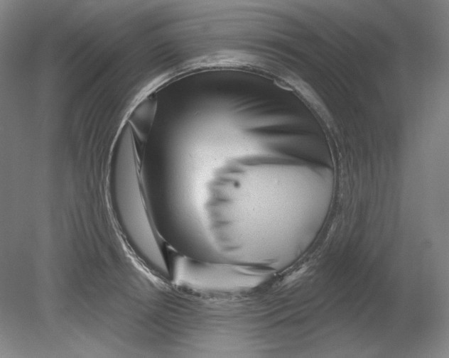 X0000080740850200701051142