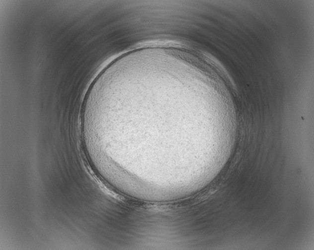 X0000080740852200701051142