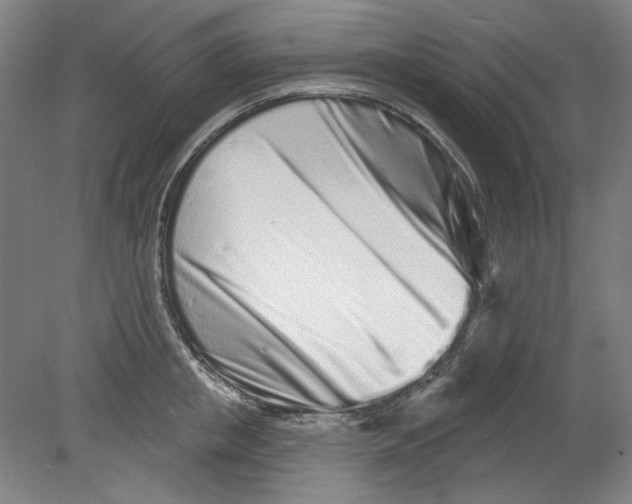 X0000080740853200701051142