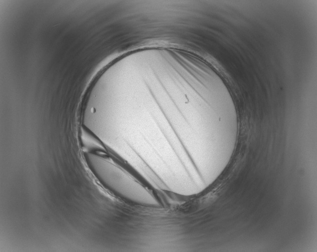 X0000080740854200701051142