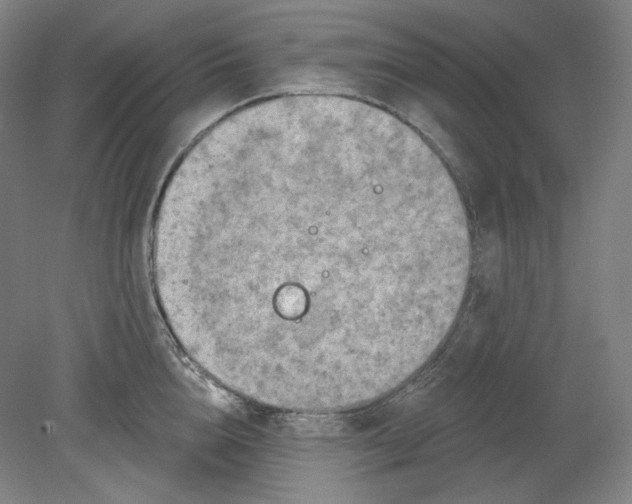 X0000080740856200701051143