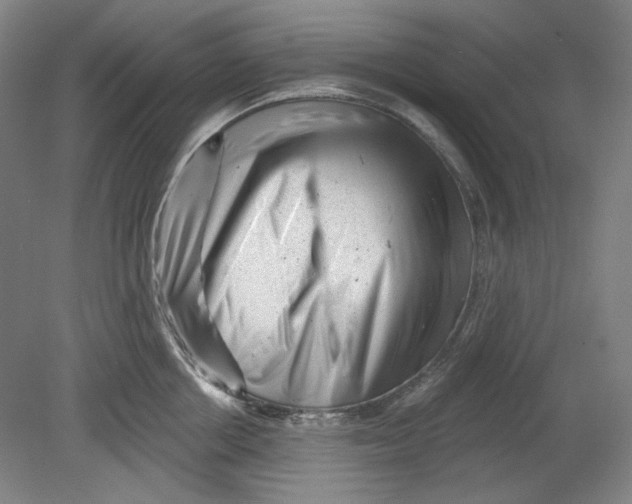 X0000080740858200701051143