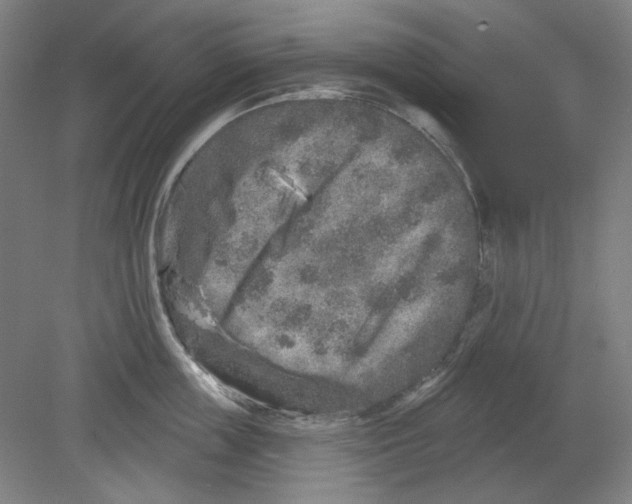 X0000080740859200701051143