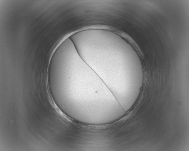 X0000080740860200701051143