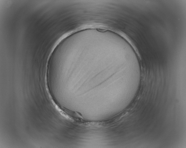 X0000080740861200701051143