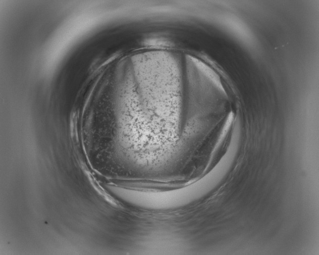 X0000080740862200701051143