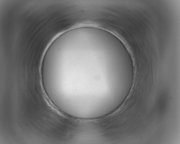 X0000080740864200701051143