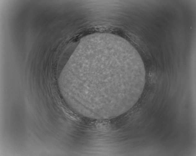 X0000080740865200701051142