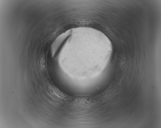 X0000080740866200701051142