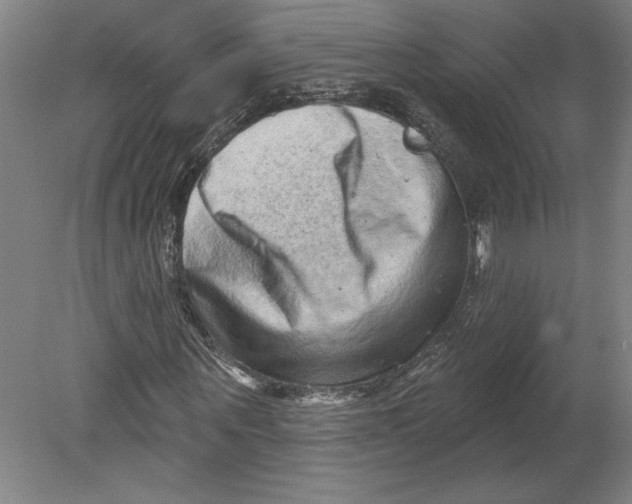 X0000080740867200701051142