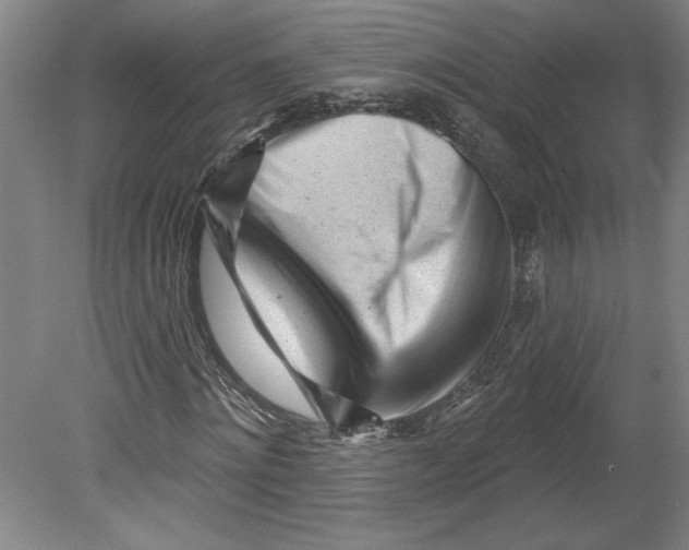 X0000080740868200701051142