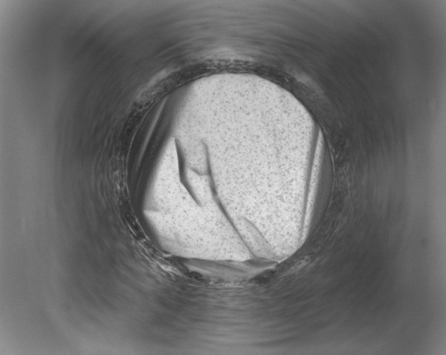 X0000080740870200701051142