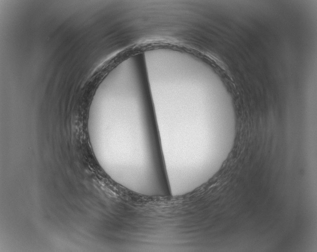 X0000080740872200701051142