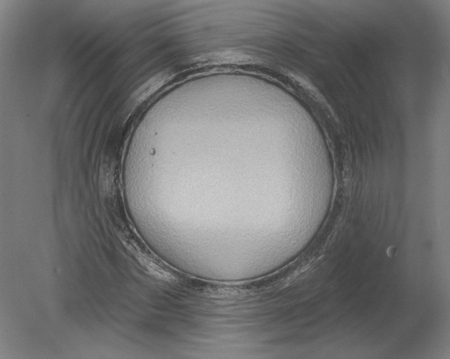 X0000080740873200701051142