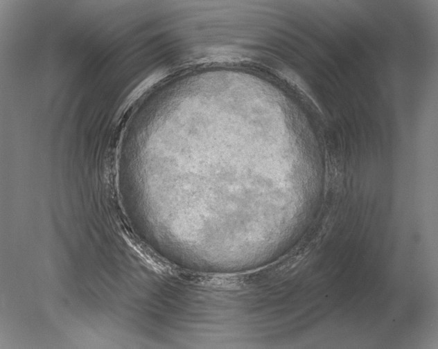 X0000080740874200701051142