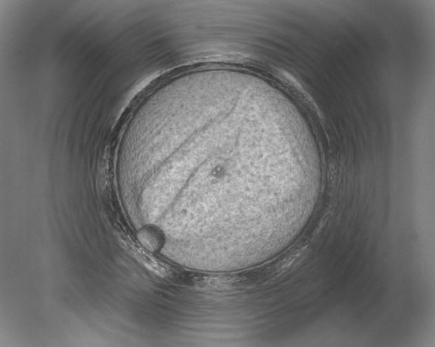 X0000080740875200701051142