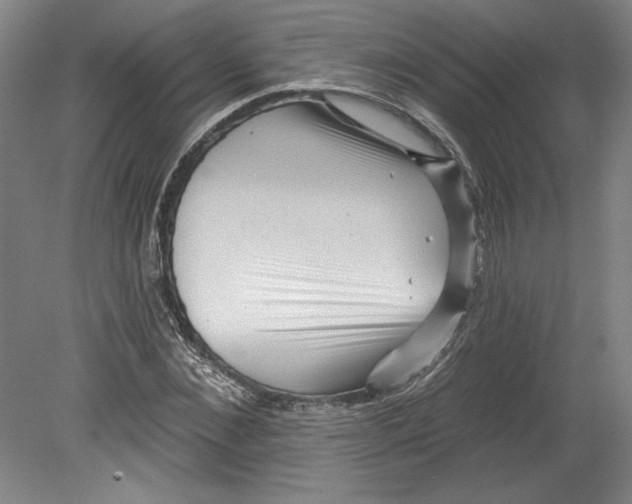 X0000080740876200701051142