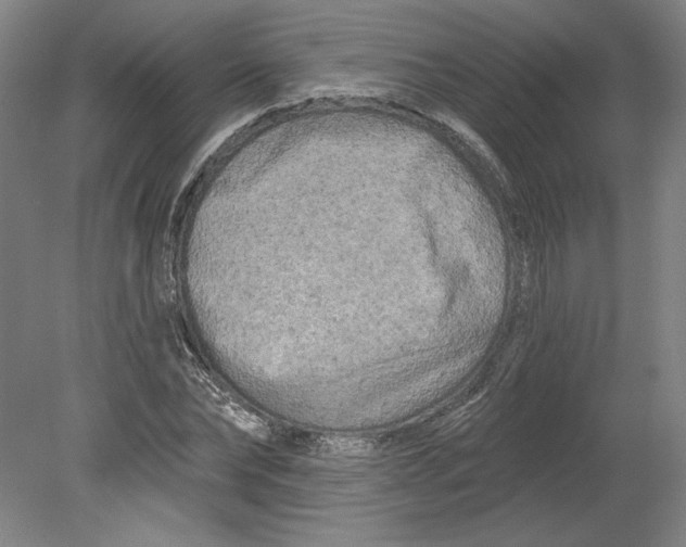 X0000080740878200701051142