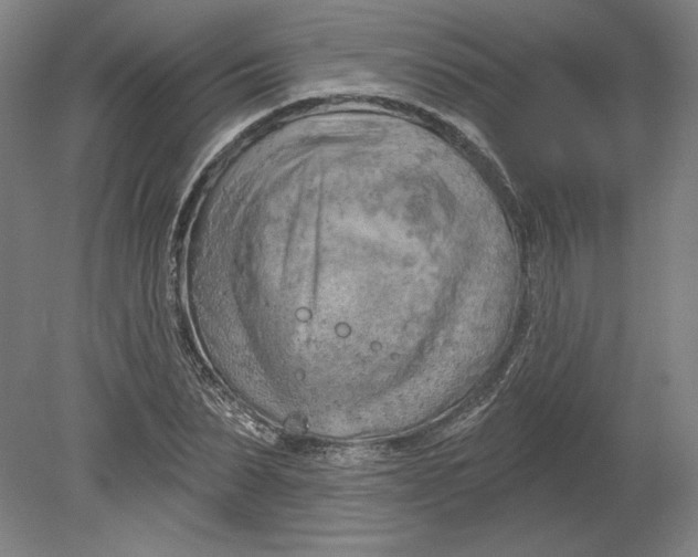 X0000080740879200701051142