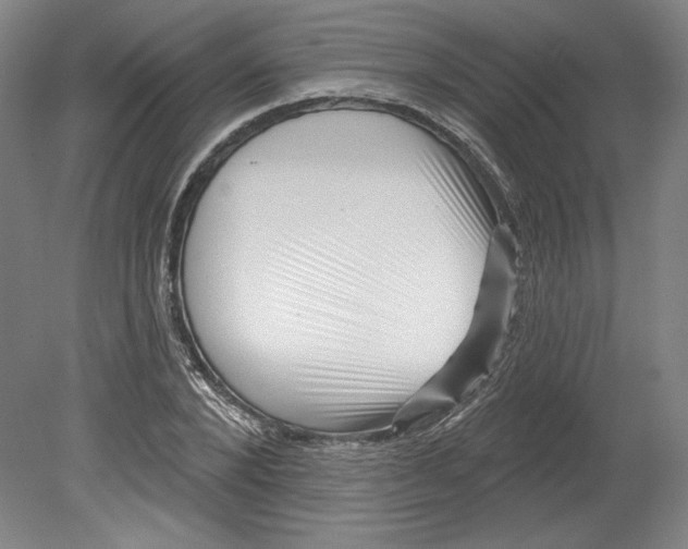 X0000080740880200701051142