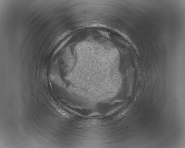 X0000080740881200701051142