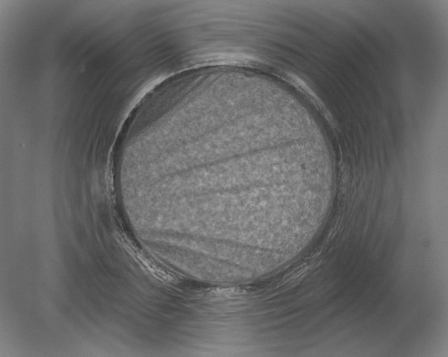 X0000080740883200701051142