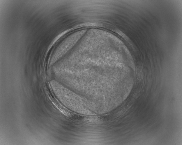 X0000080740886200701051141