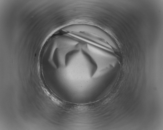 X0000080740888200701051141