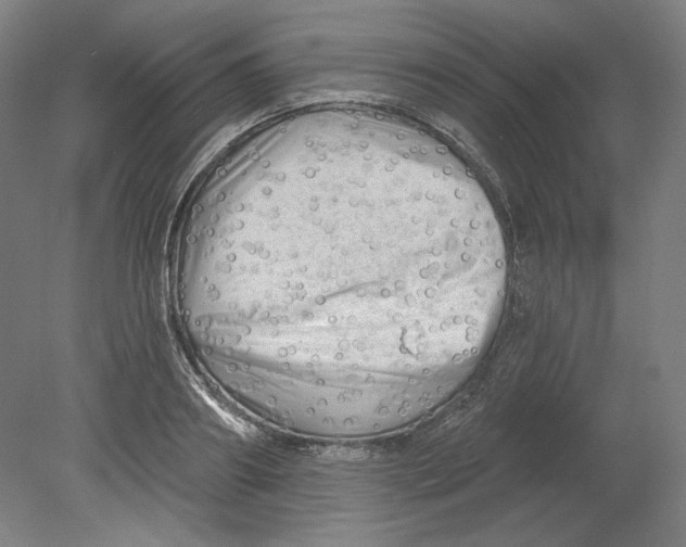 X0000080740890200701051141