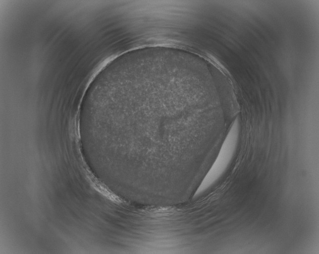 X0000080740891200701051141