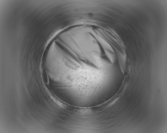 X0000080740893200701051141