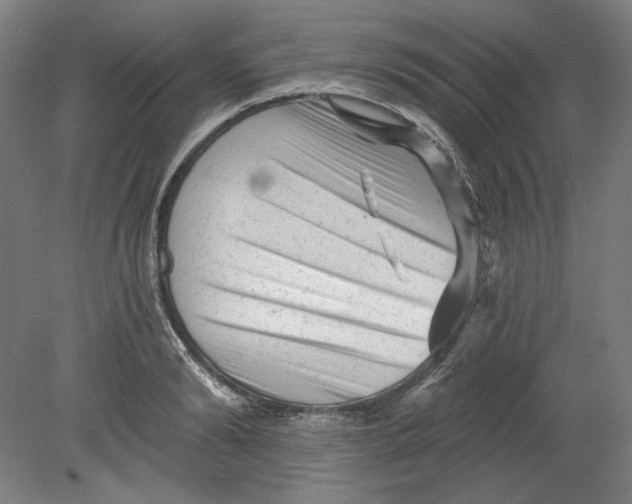 X0000080740894200701051141