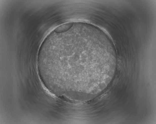 X0000080740895200701051141