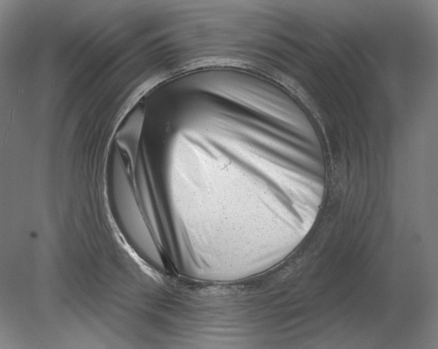 X0000080740898200701051141